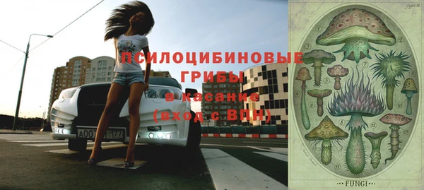 марки nbome Горняк