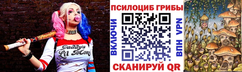 Купить  Коммунар  Галлюциногенные грибы прущие грибы 