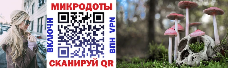 Псилоцибиновые грибы MAGIC MUSHROOMS Коммунар